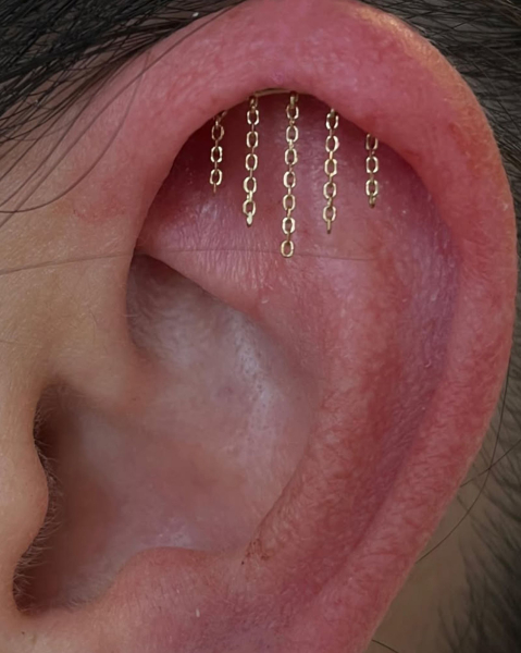 hidden helix by piercingsbymakenna